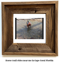 horse trail rides near me in Cape Coral, Florida